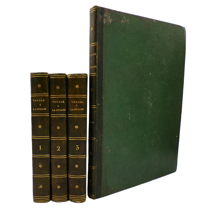 The first French Stedman, with an added description of the Guianas by its former Governor