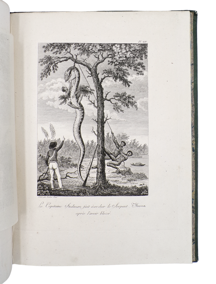 The first French Stedman, with an added description of the Guianas by its former Governor