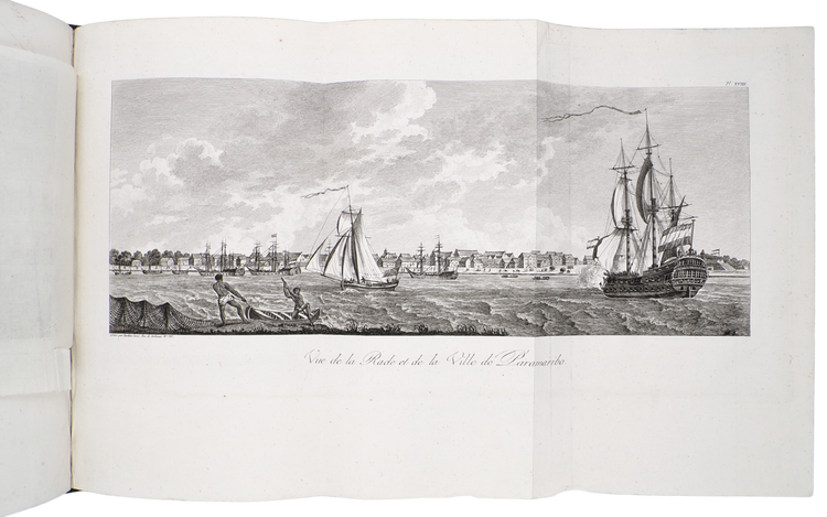 The first French Stedman, with an added description of the Guianas by its former Governor