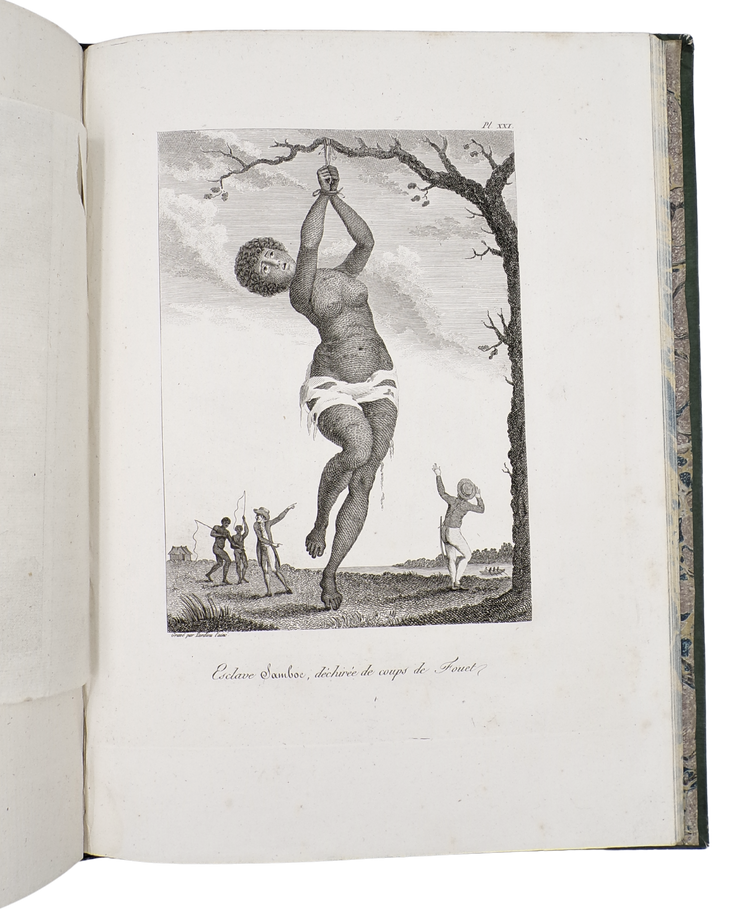 The first French Stedman, with an added description of the Guianas by its former Governor