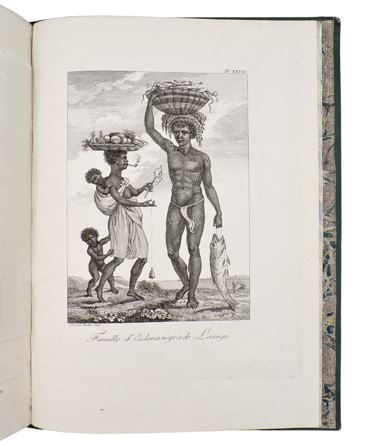 The first French Stedman, with an added description of the Guianas by its former Governor