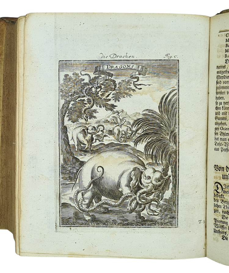 Mallet, Beschreibung des gantzen Welt-Kreises, 1719.