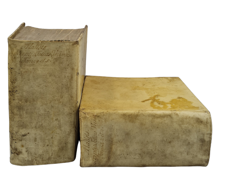 Mallet, Beschreibung des gantzen Welt-Kreises, 1719.