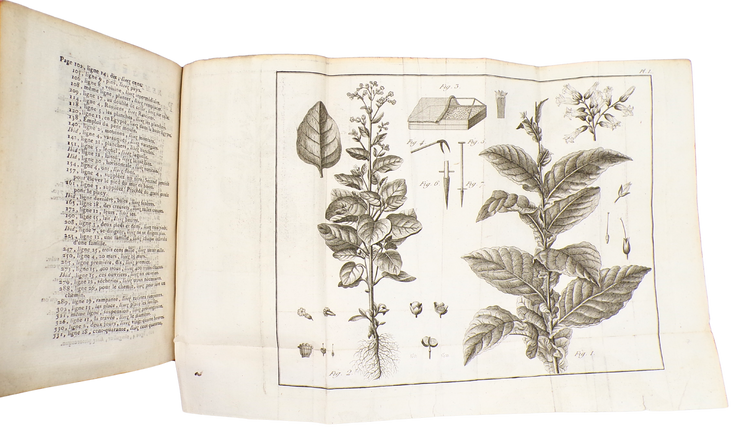 How to create and manage a tobacco plantation
