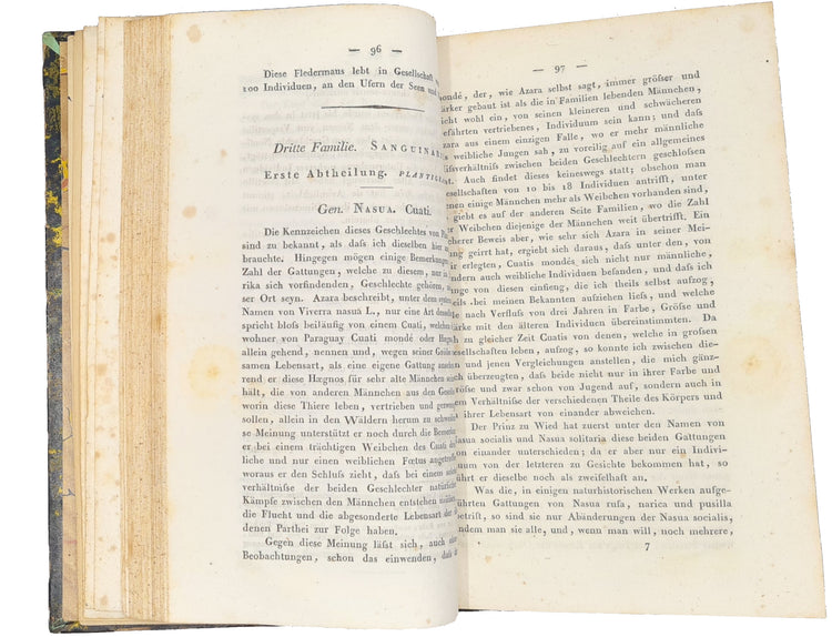 Rengger, Naturgeschichte der Saeugethiere von Paraguay, 1830.