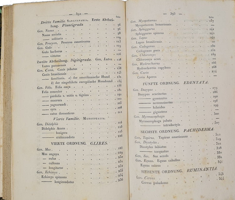 Rengger, Naturgeschichte der Saeugethiere von Paraguay, 1830.