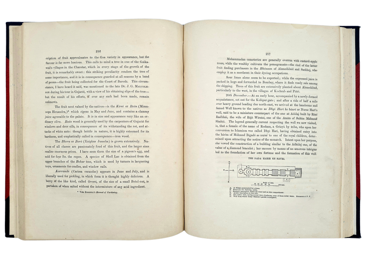 Briggs, The Cities of Gujarashtra, 1849.