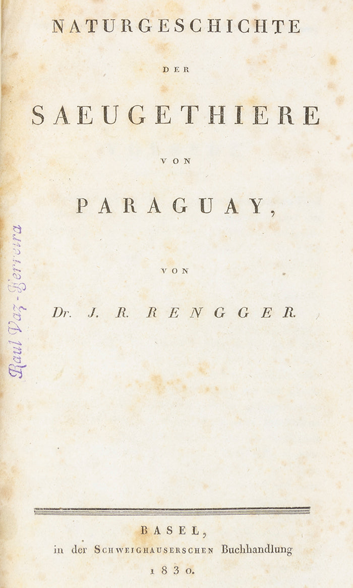 Rengger, Naturgeschichte der Saeugethiere von Paraguay, 1830.