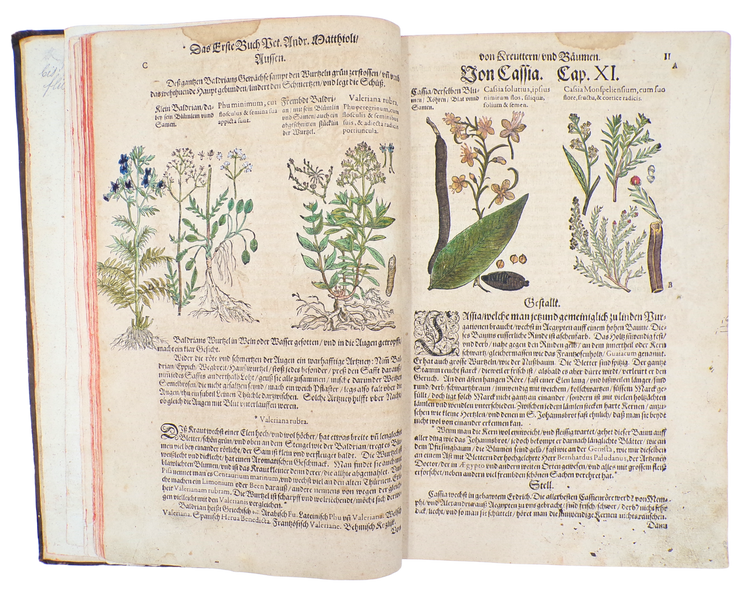 With 23 botanical drawings and anecdotal notes by Camerarius himself