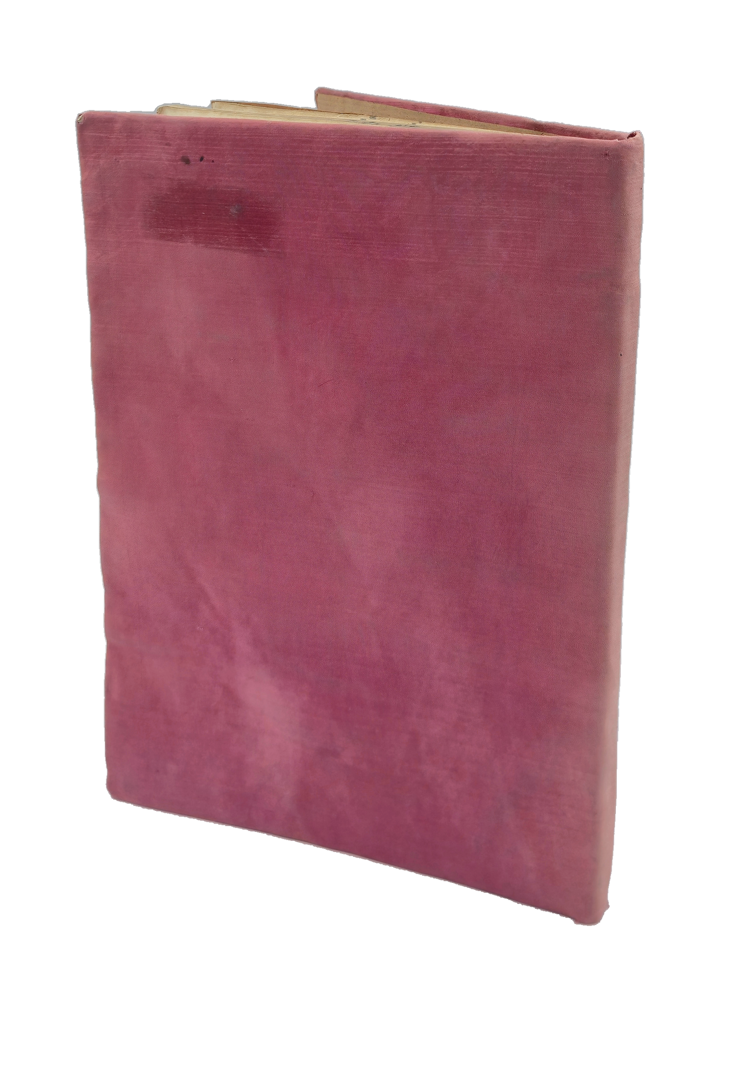 Cloth binding of Muvakkitzade Pertev’s Dīwān.