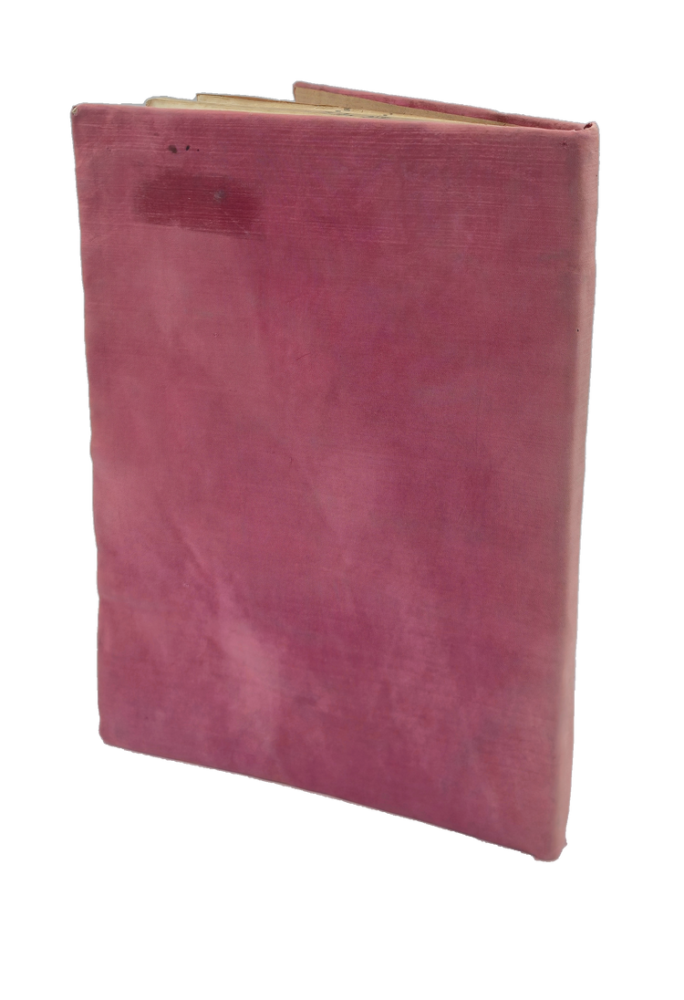 Cloth binding of Muvakkitzade Pertev’s Dīwān.