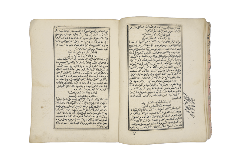 Later text and marginal commentary of al-Zawzanī’s commentary on the seven Muʿallaqāt.