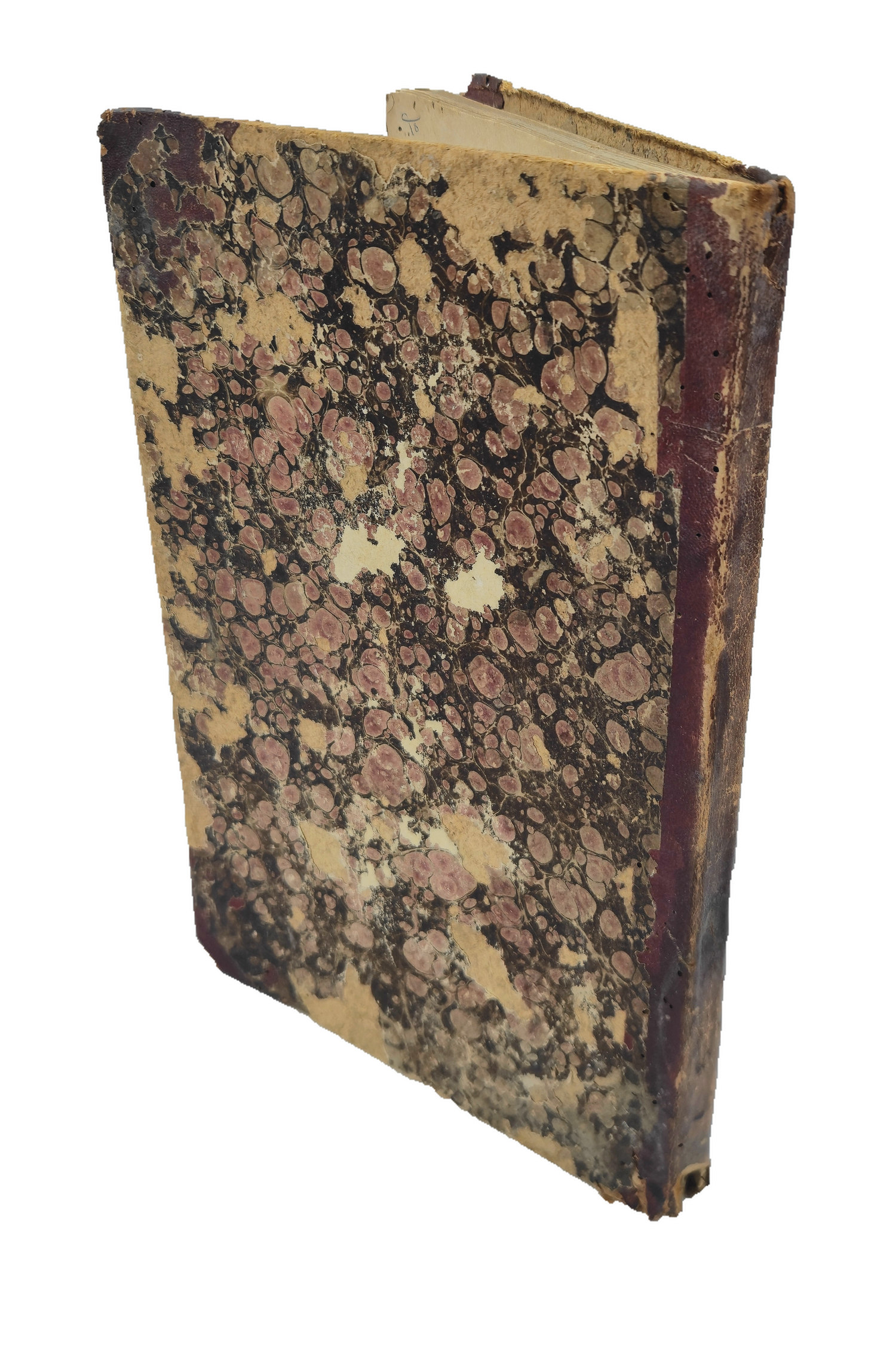 Marbled binding in Artem copy 208 of Ibn Khafaja.