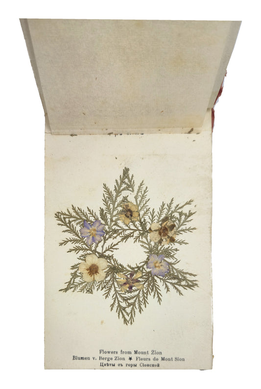 The Holy Land’s flora in women’s hands