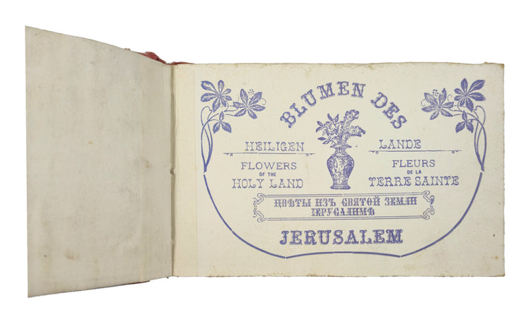The Holy Land’s flora in women’s hands