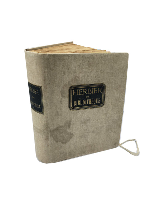 Cream cloth herbarium case with green and gold title labels and ribbon tie.
