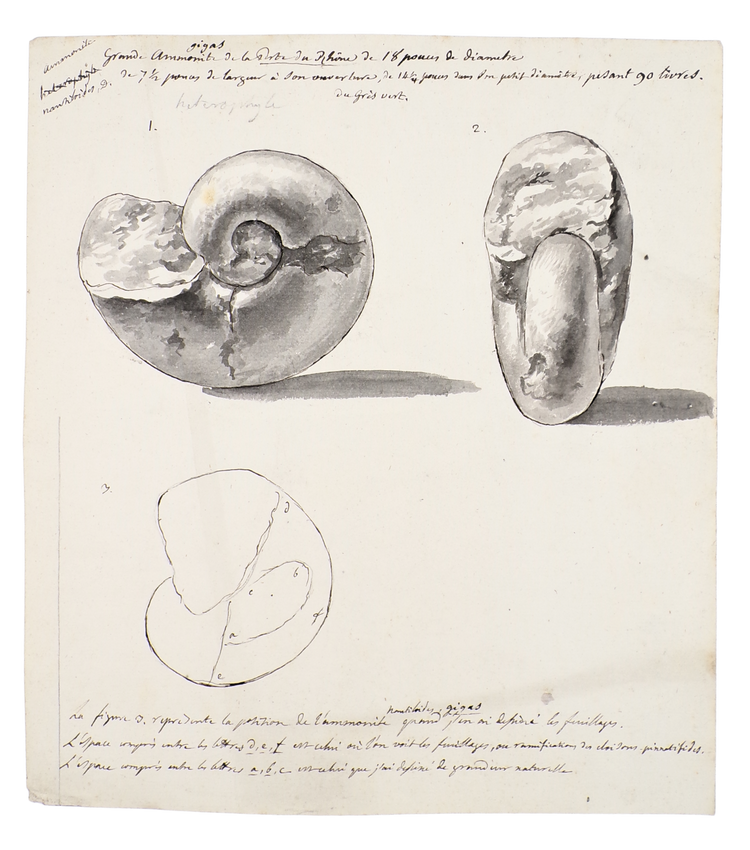 The discovery of the geology of Britain