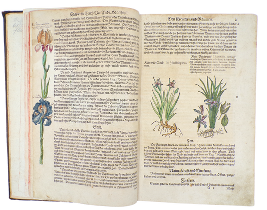 With 23 botanical drawings and anecdotal notes by Camerarius himself