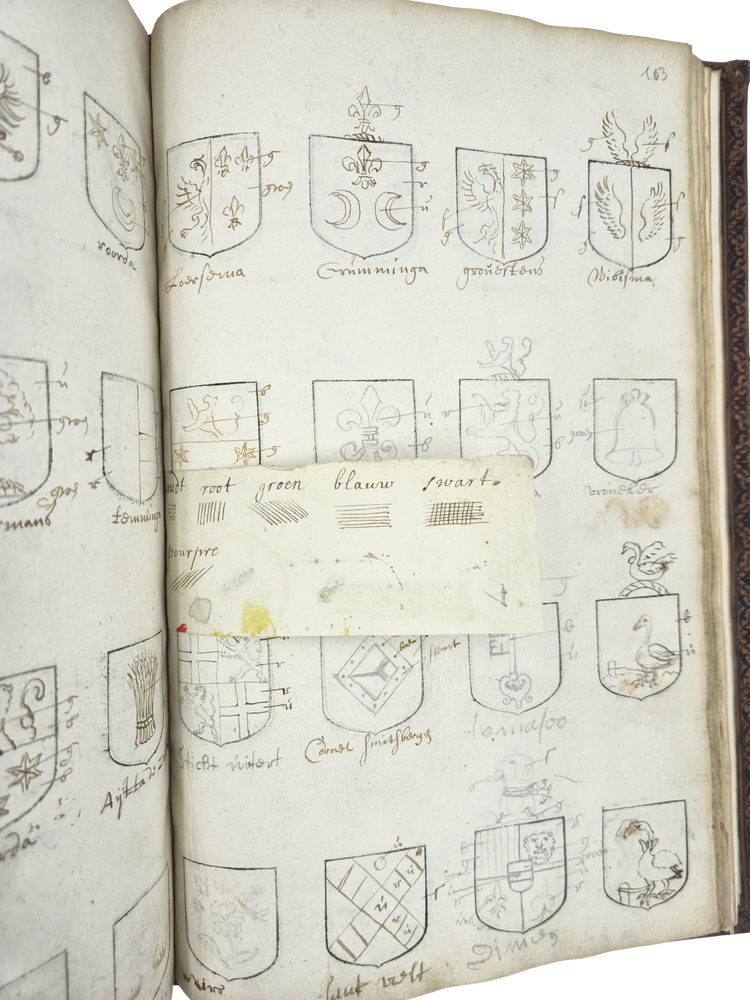 A 17th-century woman heraldist!?
