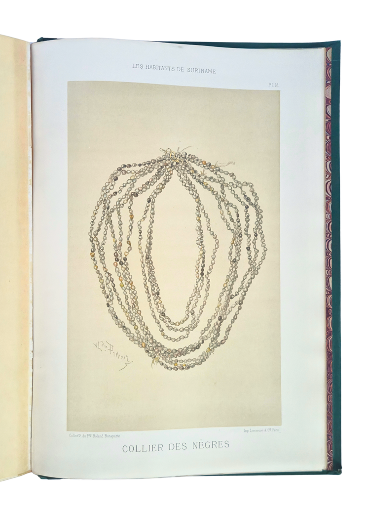 The visual splendour of an unequal encounter; author Prince Roland Bonaparte’s copy?