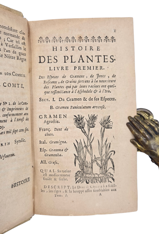 Bringing together European and New World botany