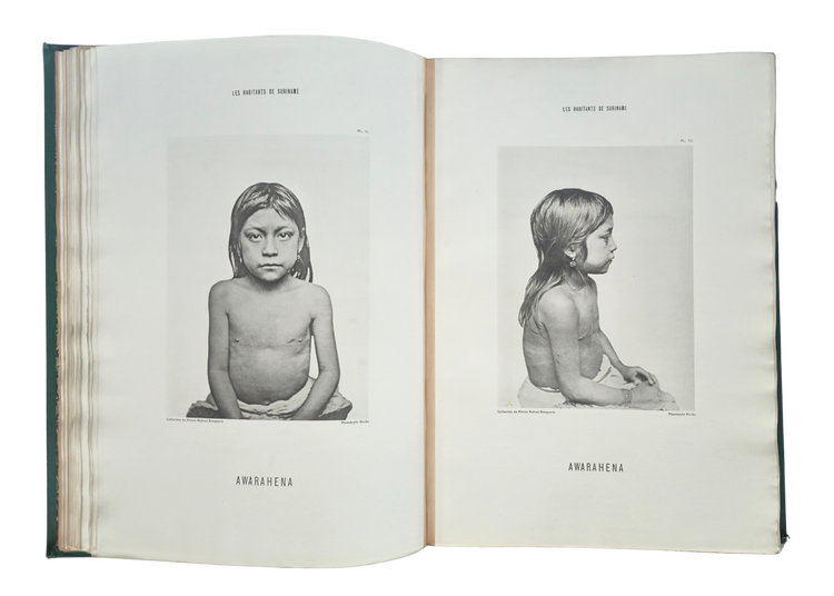 The visual splendour of an unequal encounter; author Prince Roland Bonaparte’s copy?