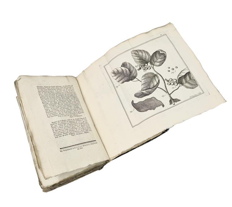 An early scientific survey of Saint-Domingue, with important observations on Taíno and Creole culture