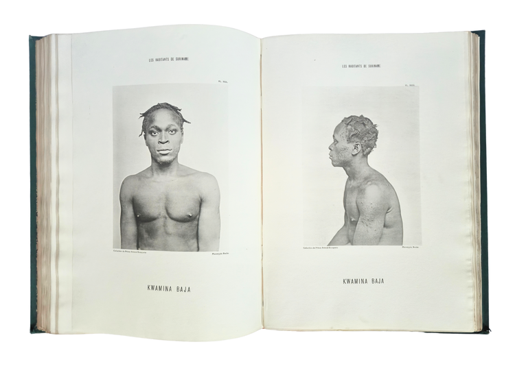 The visual splendour of an unequal encounter; author Prince Roland Bonaparte’s copy?
