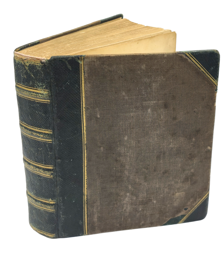 Over 250 drawings of Japanese flora and fauna in a Western pictorial style