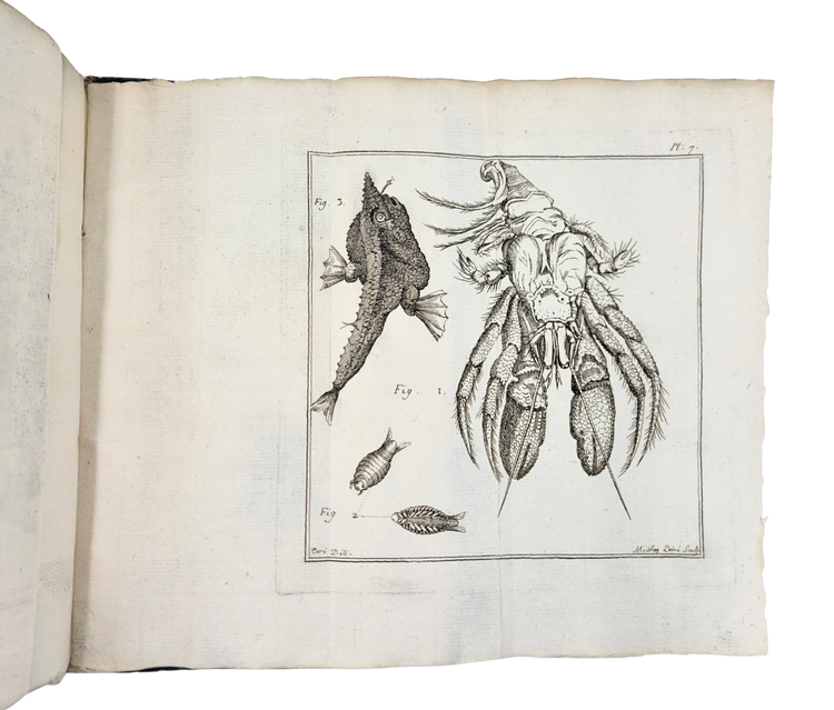 An early scientific survey of Saint-Domingue, with important observations on Taíno and Creole culture