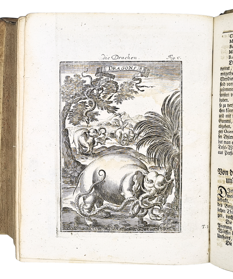 Mallet, Beschreibung des gantzen Welt-Kreises, 1719.