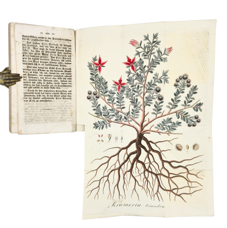From the Peruvian Andes to European medicine