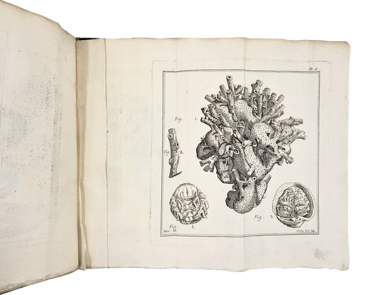 An early scientific survey of Saint-Domingue, with important observations on Taíno and Creole culture
