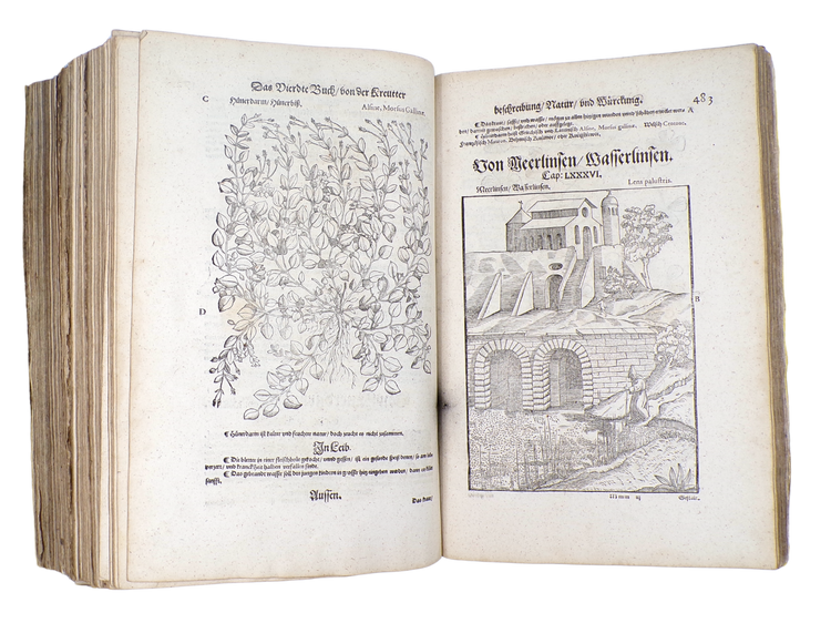 Clutius; Mattioli, New Kreüterbuch, 1563.