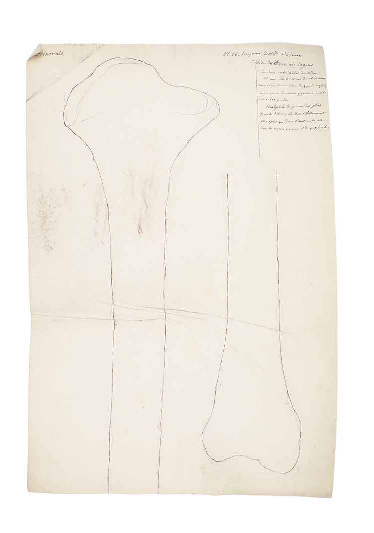 The discovery of the geology of Britain