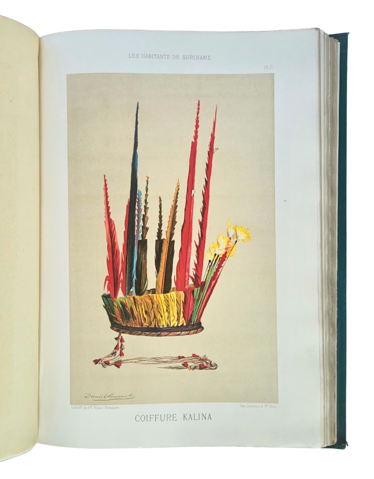 The visual splendour of an unequal encounter; author Prince Roland Bonaparte’s copy?