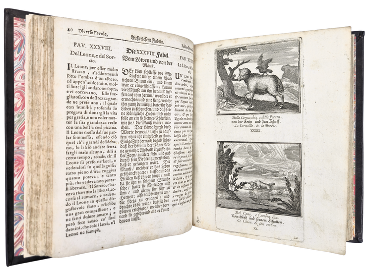 Fables illustrated by Johanna (and her sisters?)
