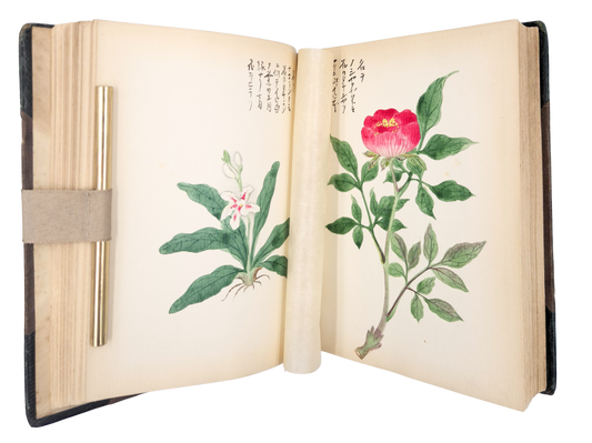 Over 250 drawings of Japanese flora and fauna in a Western pictorial style