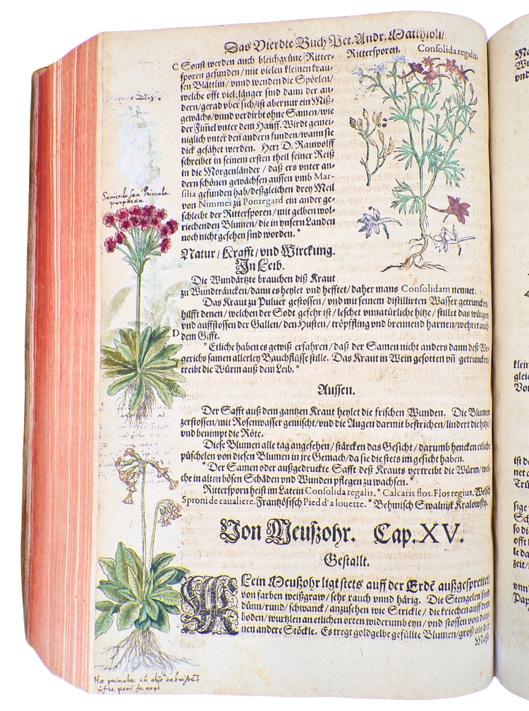 With 23 botanical drawings and anecdotal notes by Camerarius himself