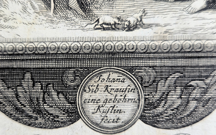 Fables illustrated by Johanna (and her sisters?)