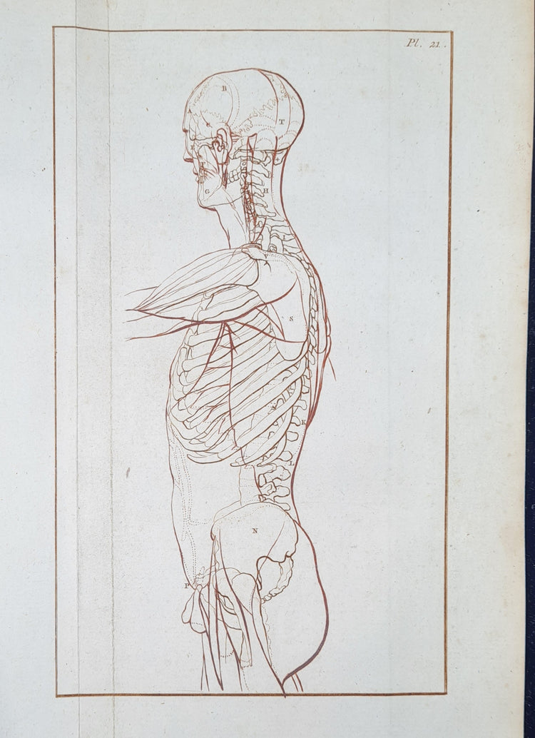 Anatomical drawing lessons, printed in sanguine by Ploos van Amstel, [ca. 1826].